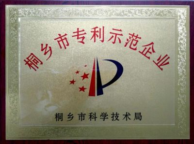 桐鄉(xiāng)專利示范企業(yè)